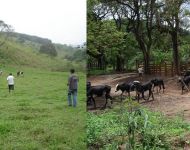 Preservando a natureza