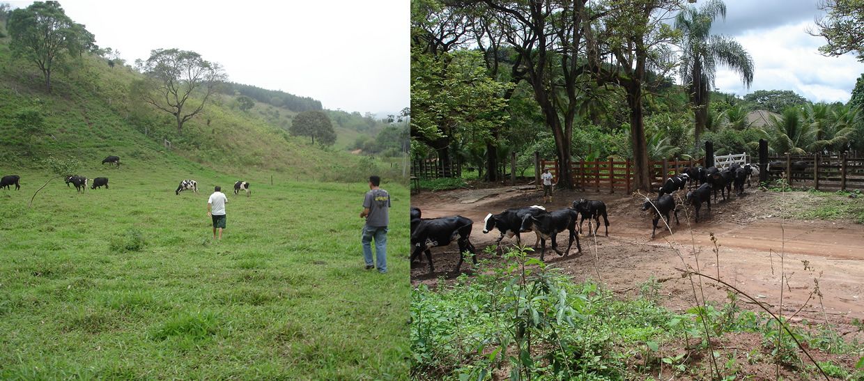 Preservando a natureza